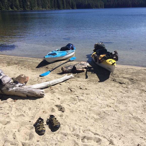 Meet your Posher, Annie - Picture 1 of 1